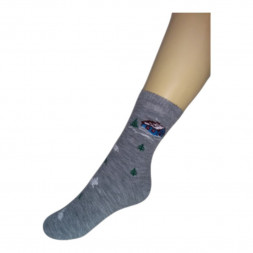 Носки Сартэкс женские М-6 махровые св. сер. р.23-25